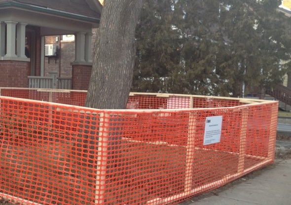 tree-protection-zone-installation-in-toronto-ca-tree-doctors-inc